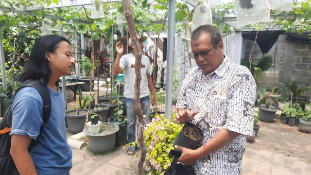 Penggerak Kebun Tegal Anggur Tompeyan, Eka Yulianta saat memberikan penjelasan mengenai pengembangan sektor pertanian khususnya anggur di Kampung Tompeyan, Jogja. Foto: Hadid H/Tugu Jogja