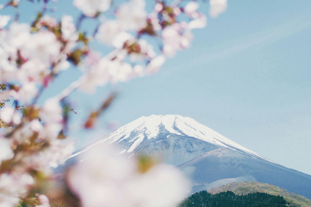 Ilustrasi Akibat Posisi Geologi di Jepang di Ring of Fire, Unsplash/Kumiko SHIMIZU