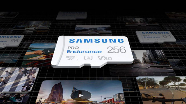 Ilustrasi SD Card Terbaik 2024. Foto: Samsung 