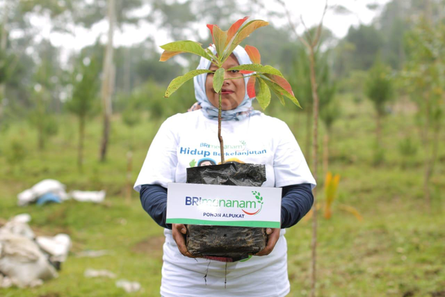 Penanaman pohon alpukat yang digelar BRI dalam menerapkan prinsip ESG. Foto: Dok. BRI