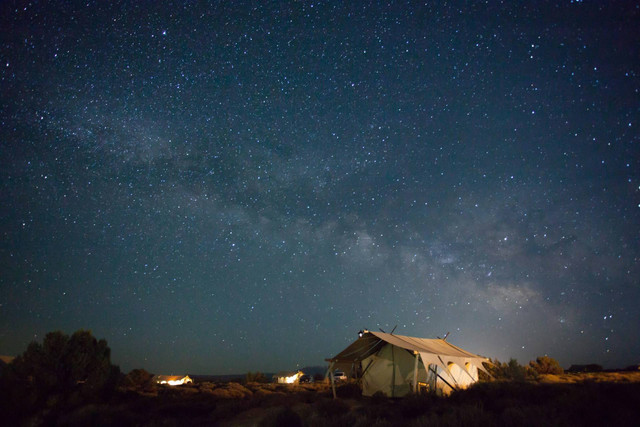 Cicadas Camping Ground. Foto hanya ilustrasi, bukan tempat sebenarnya. Sumber: Unsplash/Wei Pan