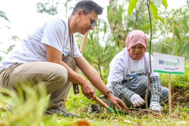 RI menjalankan program peduli lingkungan bernama BRI Menanam dengan menggandeng masyarakat. Foto: Dok. BRI