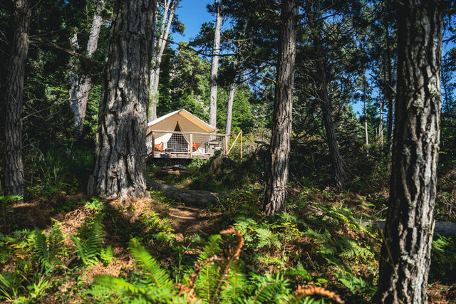 Chanaya Resort Bandung. Foto hanya ilustrasi bukan tempat sebenarnya. Sumber foto: Unsplash-Taisia Karaseva