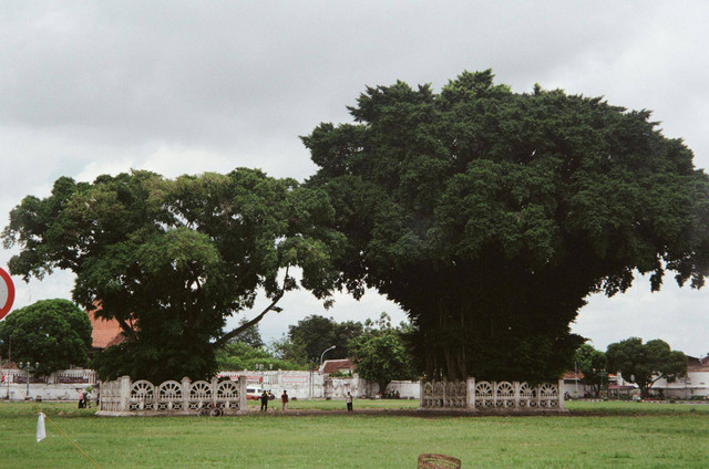 Sejarah Alun-Alun Surabaya (Foto hanya ilustrasi, bukan tempat sebenarnya) Sumber: pexels/ JJJ Jouuun