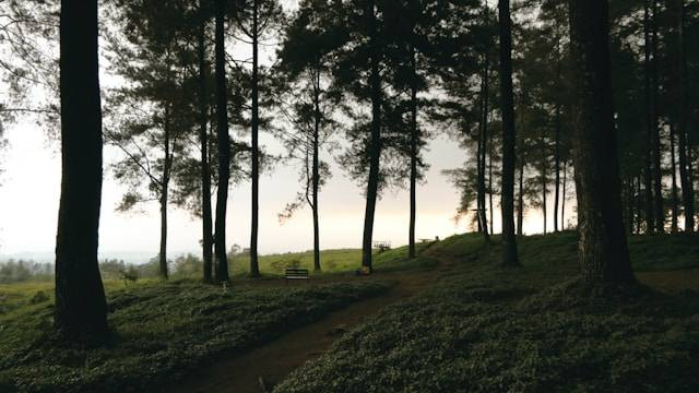 Wisata di kaki Gunung Slamet. Sumber: Unsplash/Utsman Media