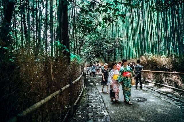 Tempat Wisata Dekat Surabaya. Foto hanya ilustrasi, bukan tempat sebenarnya. Sumber foto: Pexels/DonaldTong.