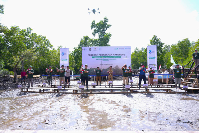 Program Penanaman Mangrove yang dilakukan PT Pelindo Terminal Petikemas dalam memperingati Hari Maritim Nasional di Kelurahan Bungkutoko, Kota Kendari, Senin (23/9/2024). Foto: Dok. Pelindo