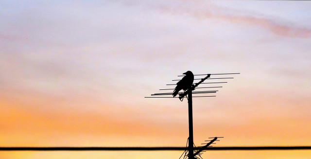 Antena TV merupakan alat yang berfungsi untuk menangkap sinyal TV dengan lebih kuat dibandingkan antena dalam ruangan. Foto: Pexels.com