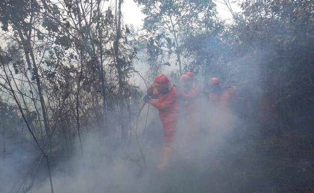 Tim Manggala Agni saat melakukan pemadaman di Ogan Komering Ilir (OKI), Foto : Manggala Agni