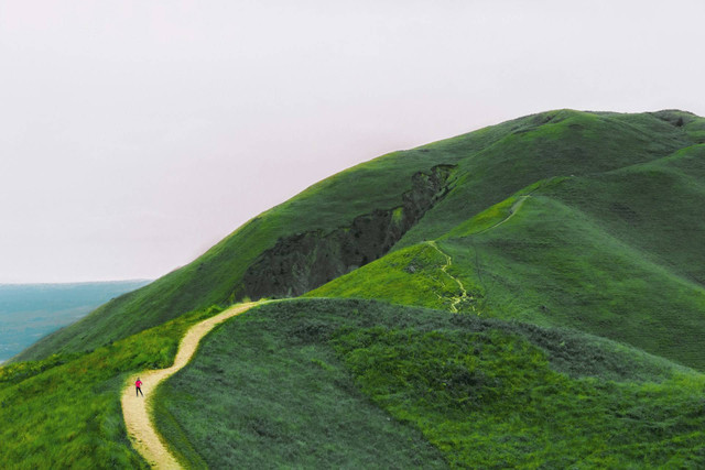 Toga Hill. Foto hanya ilustrasi, bukan tempat sebenarnya. Sumber: Unsplash/hellomoan photo