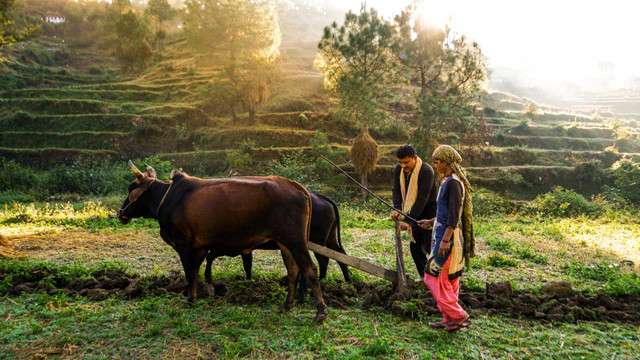 Agro-turism memberikan pengalaman bertani kepada wisatawan, foto: Canva