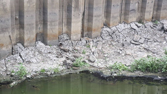 Tulang belulang manusia ditemukan di dekat penyaringan sampah pompa air Wonorejo, Kelurahan Kedung Baruk, Kecamatan Rungkut, Surabaya, pada Rabu (25/9/2024). Foto:  Farusma Okta Verdian/kumparan