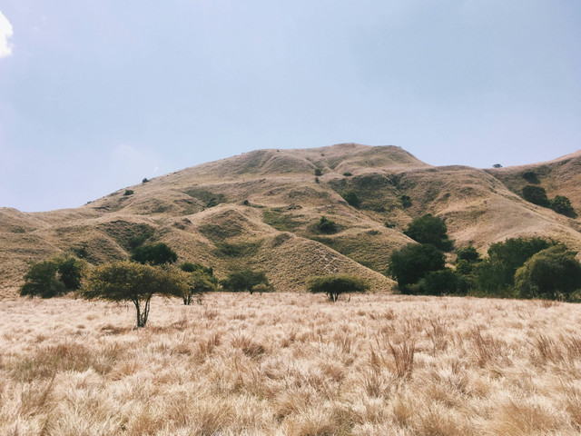 Ilustrasi Bentuk-Bentuk Batas Wilayah Daratan, Foto:Unsplash/Marcella Oscar