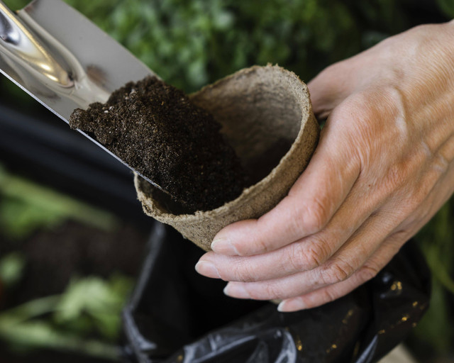 https://www.freepik.com/free-photo/high-angle-woman-putting-soil-pot-planting_12391845.htm#fromView=search&page=2&position=41&uuid=01f2c558-8316-48ad-94a2-6c0b51c0b279