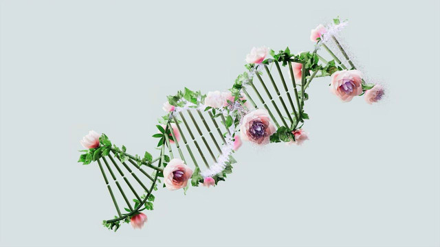 Ilustrasi DNA. (Sumber: https://www.pexels.com/)