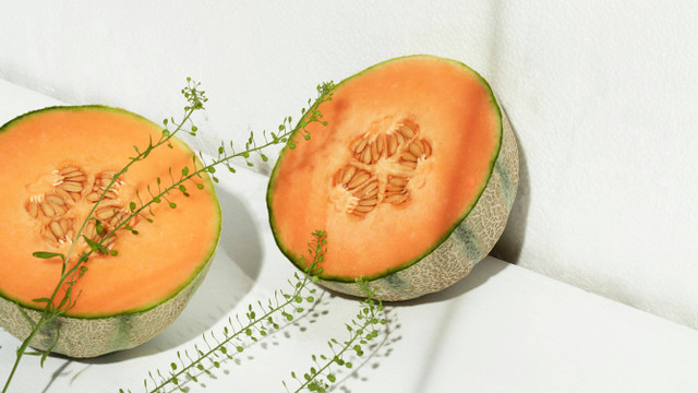 Ilustrasi budidaya tanaman melon di polybag, foto: unsplash/Otherness TV