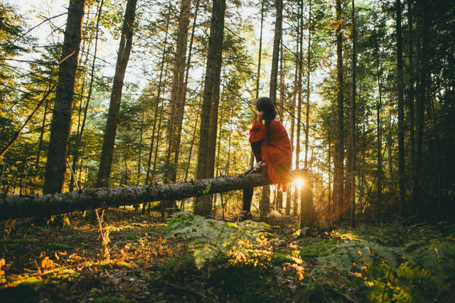 Pal 16 Cikole. Foto hanya ilustrasi, bukan tempat sebenarnya. Sumber: Unsplash/Esther Tuttle