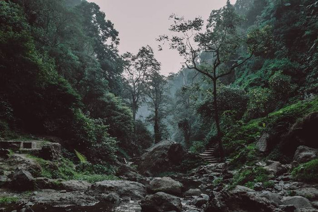 Tempat wisata di Cimahi Selatan. Foto hanyalah ilustrasi bukan tempat sebenarnya. Sumber: Unsplash/Agung Setiawan