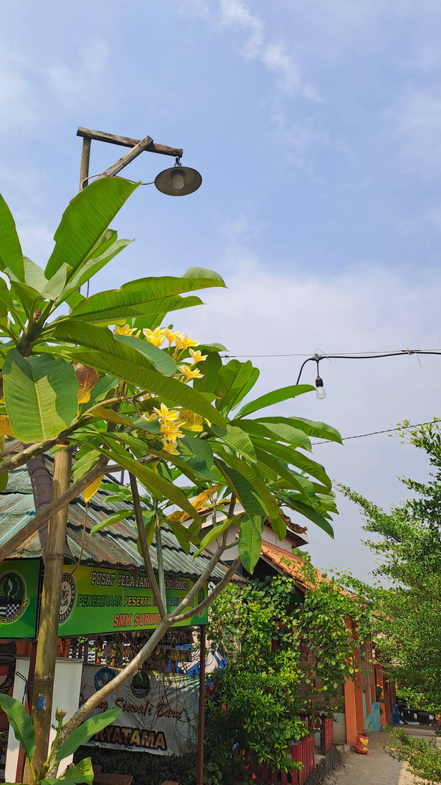 Kondisi cuaca panas di SMK Suryatama Bogor yang mencapai lebih dari 36 derajat Celsius. Foto : Dwi ari christiani