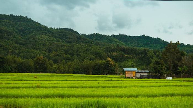 Tempat wisata di Leuwigajah Cimahi. Foto hanyalah ilustrasi bukan tempat sebenarnya. Sumber: Unsplash/Traworld Official 