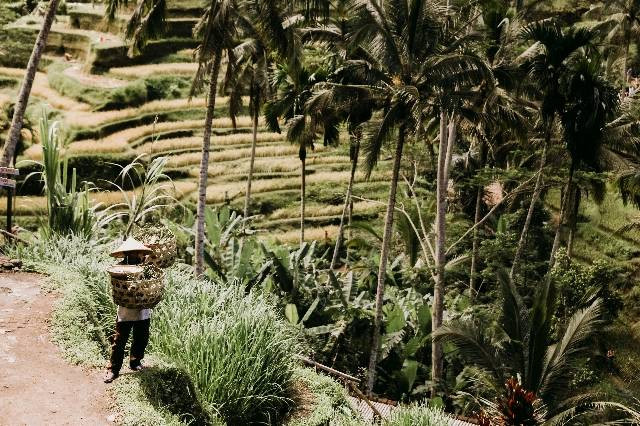 https://www.pexels.com/id-id/foto/wanita-berbaju-hitam-putih-berdiri-di-lapangan-rumput-hijau-6015920/