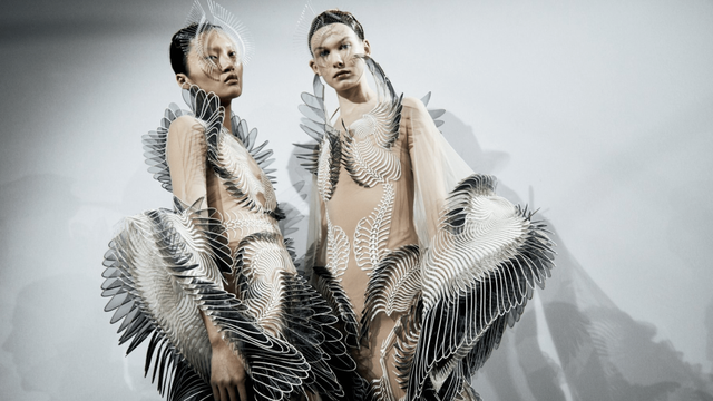 https://www.irisvanherpen.com/collections/sensory-seas/sensory-seas-photography-by-molly-sj-lowe