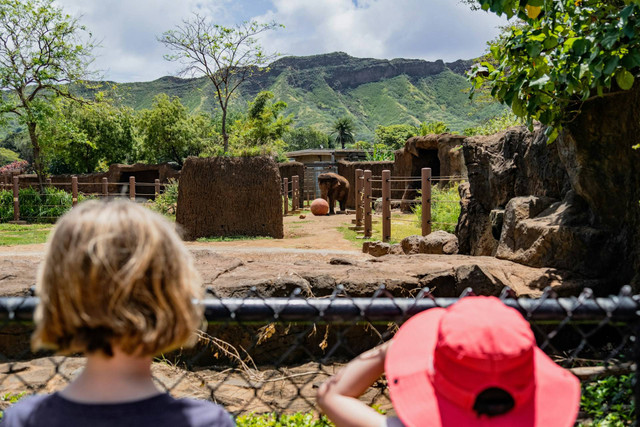 3 Wisata Edukasi untuk Anak TK. Foto hanya ilustrasi, bukan tempat sebenarnya. Sumber: unsplash.com/Alan Rodriguez.