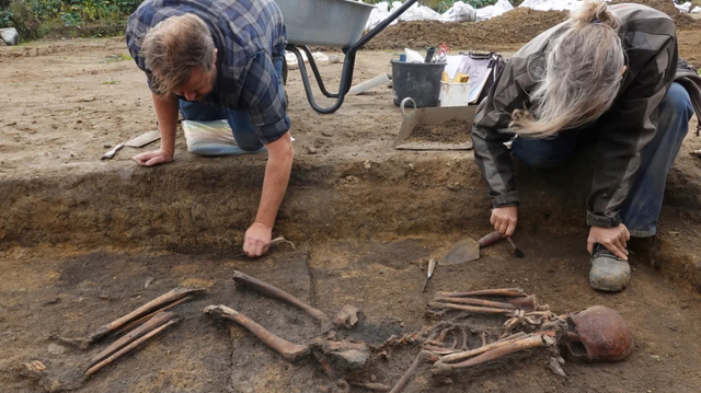 Kerangka Viking ditemukan di Denmark.  Foto: Reuters/Tom Little