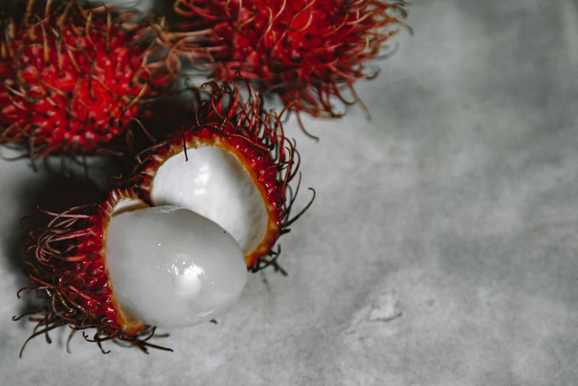 Ilustrasi Apakah Pohon Rambutan Bisa Merusak Pondasi Rumah? | Pexels/ROMAN ODINTSOV 