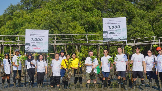 Aksi Nyata Menjaga Ekosistem Pantai dengan Menanam Ribuan Bibit Mangrove