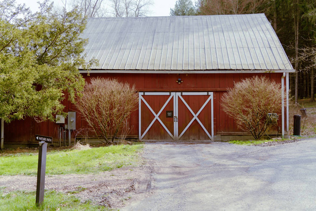 Cimory Dairyland Semarang. Foto hanya ilustrasi, bukan tempat sebenarnya. Sumber: unsplash.com/Zhen Yao.