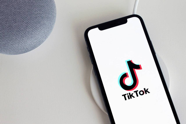 Ilustrasi logo TikTok (sumber: https://pixabay.com/id/)