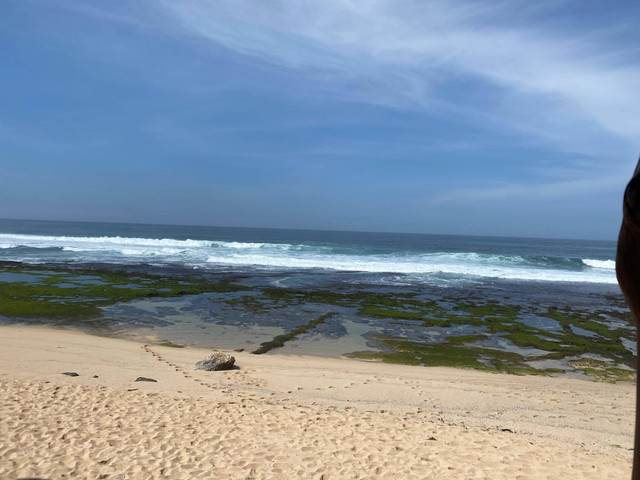 sumber : foto pribadi lokasi pantai trenggole gunung kidul yogyakarta