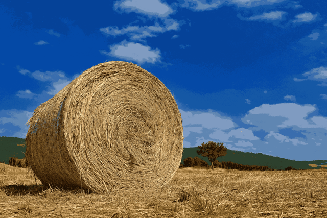 https://www.freepik.com/free-photo/beautiful-summer-landscape-agricultural-field-round-bundles-dry-grass-field-with-bleu-sky-sun-hay-bale-haystack_23458074.htm#fromView=search&page=1&position=2&uuid=e91bdaba-db95-409e-a6ff-73d3a0d603b1