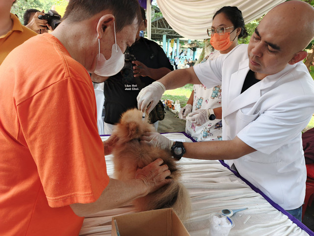 Proses Vaksinasi Rabies Kucing, oleh Tim dokter hewan dalam peringatan Hari Rabies Sedunia di di Fakultas Pertanian Universitas Lampung | Video : Eka Febriani / Lampung Geh