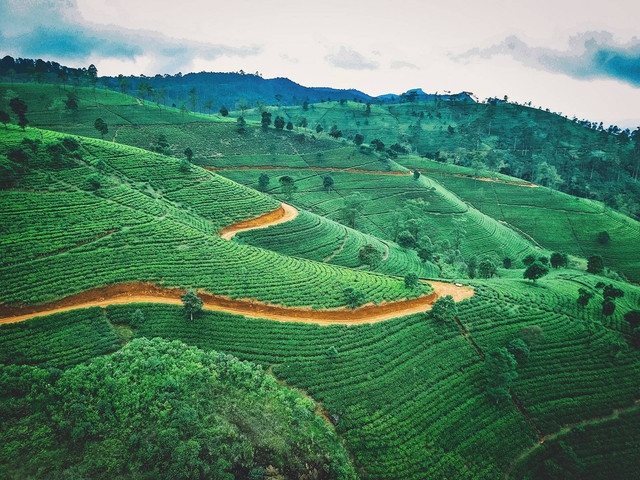 [Wisata Karanganyar Solo] Foto hanya ilustrasi, bukan tempat sebenarnya. Sumber: unsplash/Jaromir Kavan