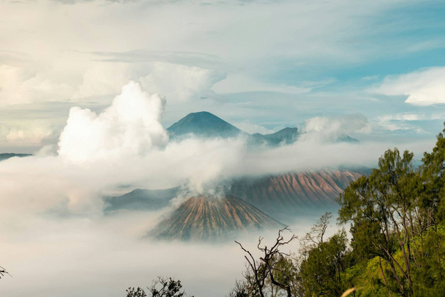 Bromo Hillside. Foto hanya ilustrasi, bukan tempat sebenarnya. Foto: dok. Unsplash/EYusron El Jihan