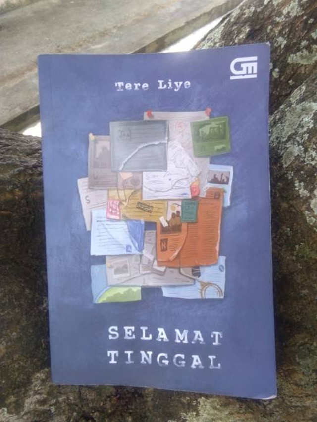 foto cover novel Tere Liye "Selamat Tinggal". Sumber foto: Hasil ambil gambar sendiri di taman.