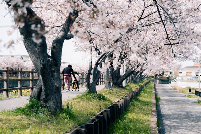 Sumber foto : Pexels.com