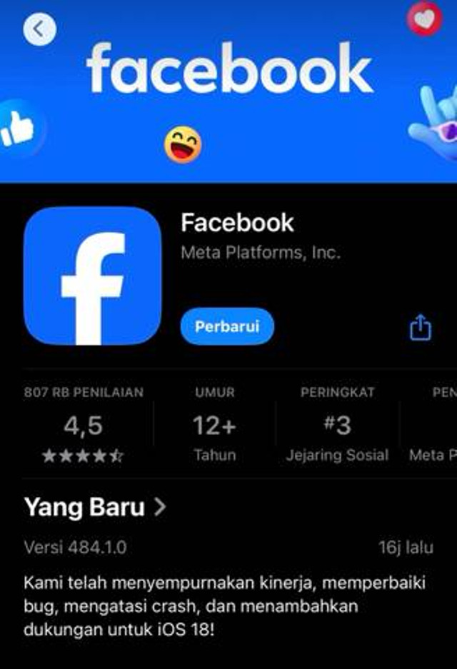 Tangkapan layar aplikasi Facebook.Sumber:App store pribadi