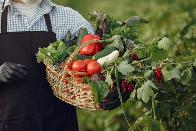 Agrowisata Purwosari Mijen. Foto hanya ilustrasi bukan tempat sebenarnya. Sumber foto: Pexels-Gustavo Fring