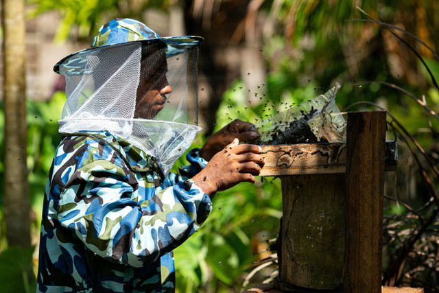 Peluncuran Program Sustainable Living Village (SLV) oleh Apical di Aceh Singkil. Foto: Apical