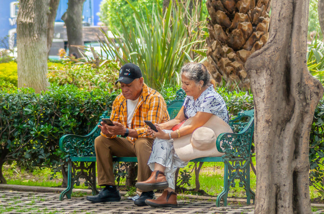 https://www.pexels.com/id-id/foto/pasangan-lansia-menggunakan-ponsel-pintar-di-sunny-park-28831408/