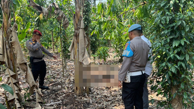 Lokasi penemuan mayat anonim di perkebunan Pekon Lugusari, Kecamatan Pagelaran, Kabupaten Pringsewu, Lampung. | Foto: Dok Humas Polres Pringsewu