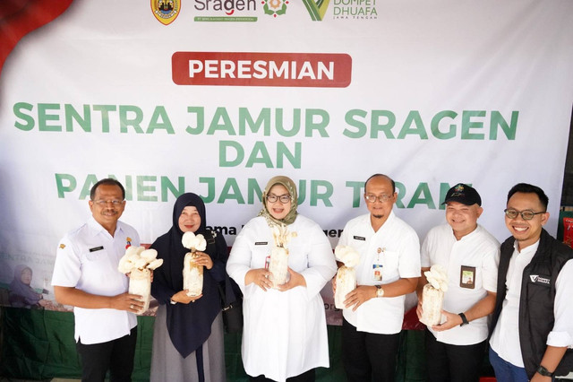 Mendapat dukungan pemerintah Kabupaten Sragen, Dompet Dhuafa dan Bank Syariah Sragen luncurkan Program Pemberdayaan Sentra Jamur Tiram di Dukuh Ledok, Desa Mojorejo, Kecamatan Kedawung, Sragen, Jawa Tengah, Rabu (9/10/2024). Program tersebut bergulir di masyarakat melalui skema pengelolaan imbal hasil dari Cash Wakaf Linked Deposit (CWLD) di Bank Syariah Sragen, dan menjadi terobosan pertama di Indonesia.