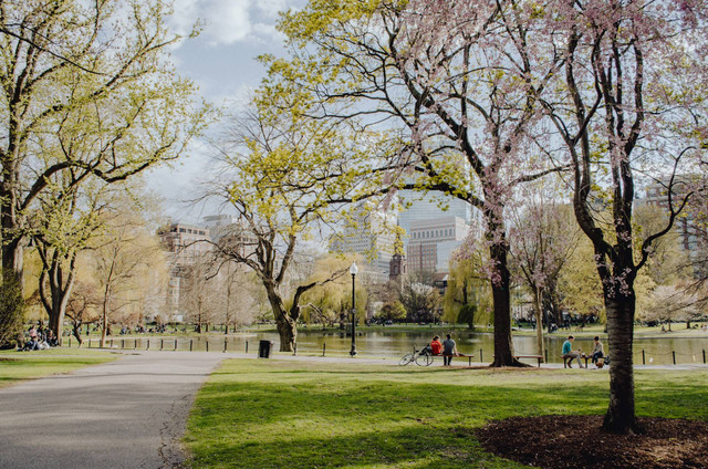 Taman Kasmaran Semarang. Foto hanya ilustrasi, bukan tempat sebenarnya. Foto: dok. Unsplash/Kelly Sikkema