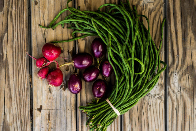 Ilustrasi Cara Memangkas Kacang Panjang, Foto: Pexels/C k