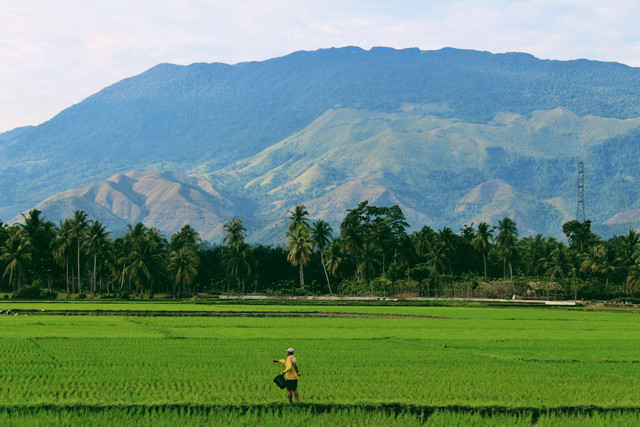 Ilustrasi gaji pendamping desa. Foto: Unsplash