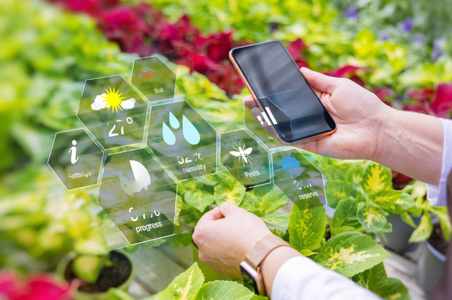 Ilustrasi Agricultural Energy Internet (AEI) (Sumber: shutterstock)