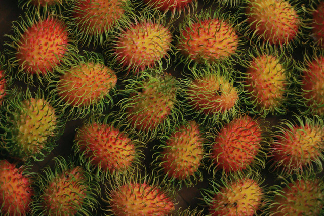 Ilustrasi Cara Stek Rambutan. Pexels/Niranjan T G